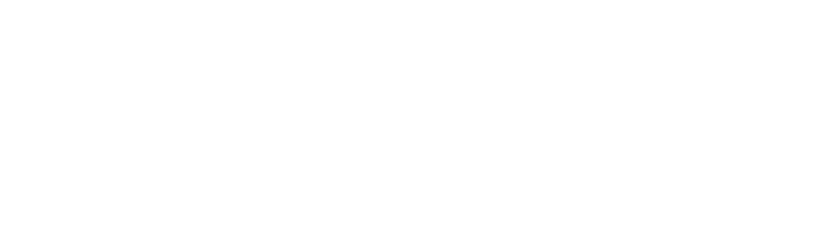 dassault logo white